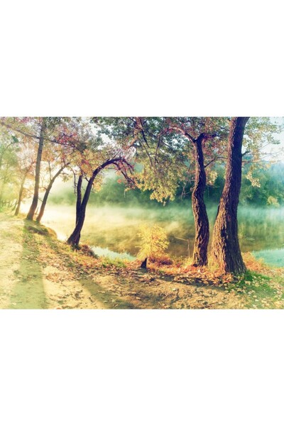 Zumzeria Tablou Canvas Fall Forest View, 80x50cm, tabloucanvas37, ®