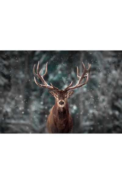 Zumzeria Tablou Canvas Mighty Deer In Winter, 80x50cm, tabloucanvas892, Zumzeria ®