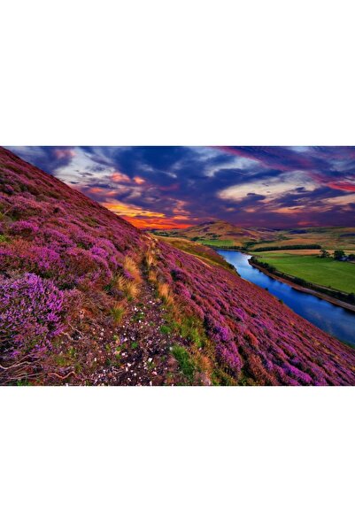 Zumzeria Tablou Canvas Vedere pitorească cu pajiști înflorite la apus, 80x50c...