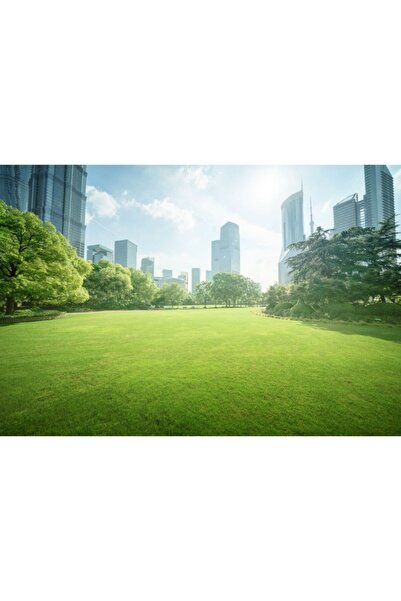 Zumzeria Tablou Canvas Green Space In Central Shanghai, 80x50cm, tabloucanvas...