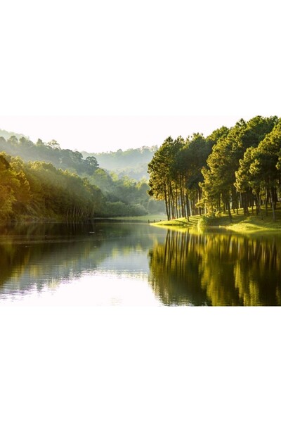 Zumzeria Tablou Canvas Frumos lac înconjurat de verdeață de jur împrejur, 80x...