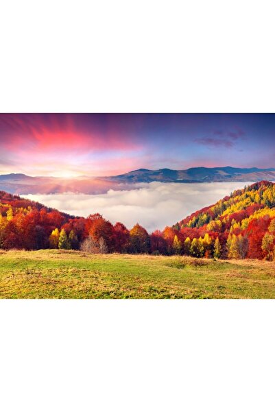 Zumzeria Tablou Canvas Autumn Colorful Trees, 80x50cm, tabloucanvas51, Zumzer...