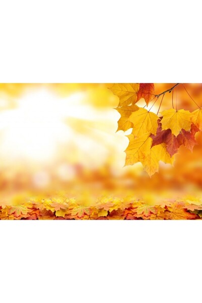 Zumzeria Tablou Canvas Bright Autumn Leaves, 80x50cm, tabloucanvas159, Zumzer...