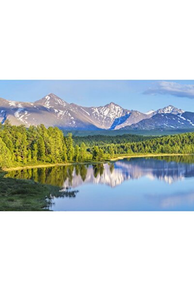 Zumzeria Tablou Canvas Wild Forest Lake In The Mountains On Summer, 80x50cm, ...