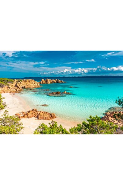 Zumzeria Καμβάς Tablou Όμορφη Ακτογραμμή με Γαλάζια Νερά, 80x50εκ., tabloucan...