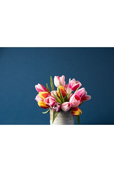 Zumzeria Πίνακας σε καμβά με θέμα "Σύνθεση σε βάζο με τουλίπα άνοιξης", 80x50...