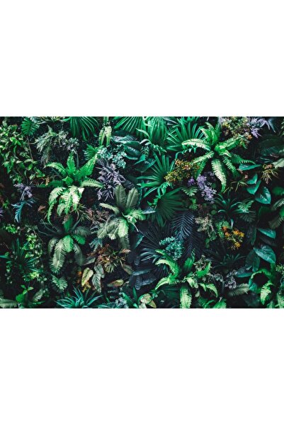 Zumzeria Καμβάς Tablou Όμορφη Άγρια Φυτά με Θέα, 80x50εκ., tabloucanvas226,