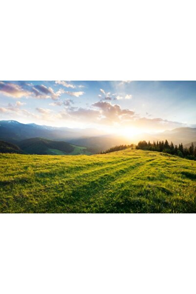 Zumzeria Καμβάς Tablou Mountain Meadow στο Ηλιοβασίλεμα, 80x50εκ., tabloucanv...