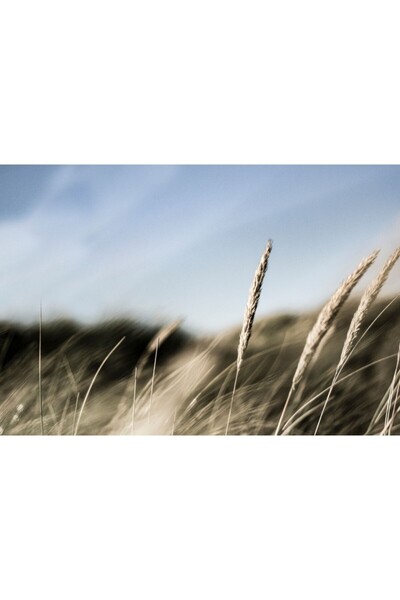 Zumzeria Καμβάς Tablou The Look Between the Wheat, 80x50εκ., tabloucanvas349,