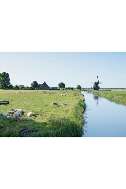 Zumzeria Tablou Canvas A Bunch Of Sheep On Green Meadow, 80x50cm, tabloucanva...