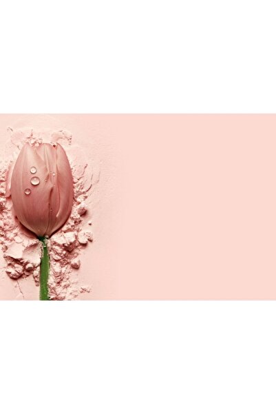 Zumzeria Πίνακας σε καμβά Όμορφη ροζ τουλίπα, 80x50εκ., canvaspainting289,