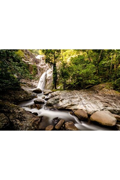 Zumzeria Tablou καμβάς με εκπληκτικό ρέον δάσος, 80x50εκ., tabloucanvas38,