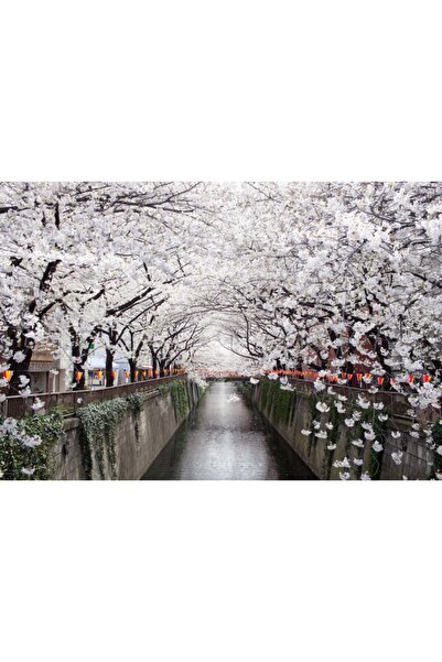 Zumzeria Tablou Canvas Cherry Blossom In Japan, 80x50cm, tabloucanvas797, Zum...