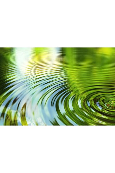 Zumzeria Tablou Canvas Gorgeous Drops Down On Green Surface Water, 80x50cm, tabloucanvas204, Zumzeria ®
