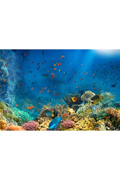 Zumzeria Πίνακας σε καμβά Υποβρύχιος Κόσμος, 80x50εκ., canvaspainting451,