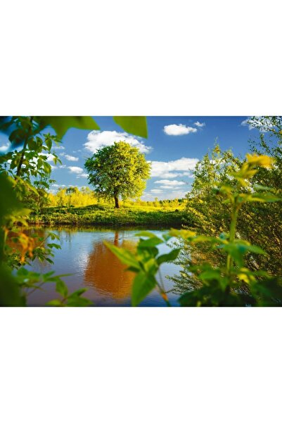 Zumzeria Tablou Canvas Spring Meadow cu copac pe marginea țărmului, 80x50cm, tabloucanvas406, Zumzeria ®