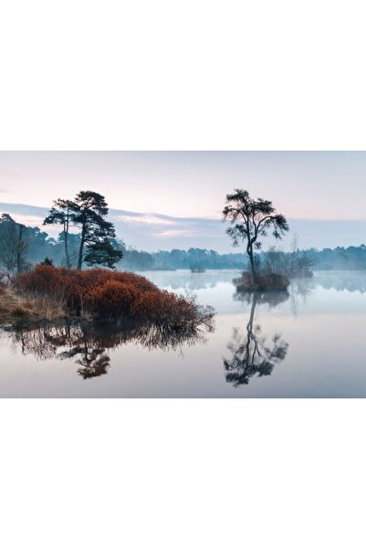 Zumzeria Tablou Canvas Misty Sunrise Over Fen, 80x50cm, tabloucanvas625, Zumz...