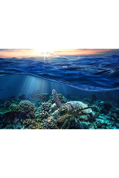 Zumzeria Πίνακας σε καμβά Υποβρύχιος Κόσμος, 80x50εκ., canvaspainting819,