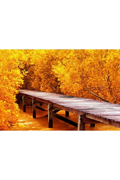 Zumzeria Πίνακας σε καμβά Φωτεινό κόκκινο φθινόπωρο, 80x50εκ., canvaspainting35,