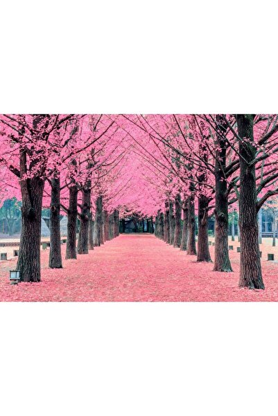 Zumzeria Tablou Canvas Cherry Blossom Romantic Path, 80x50cm, tabloucanvas824, ®