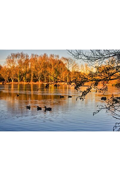 Zumzeria Tablou Canvas Scenic View Of English Autumn, 80x50cm, tabloucanvas707, Zumzeria ®