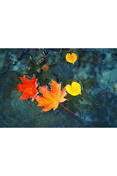 Zumzeria Tablou Canvas Melancolia frumoasei toamne, 80x50cm, tabloucanvas1143...