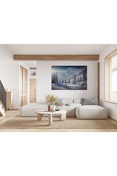 Zumzeria Tablou Canvas Stunning Brad Forest Landscape In Winter, 80x50cm, tabloucanvas970, Zumzeria ®