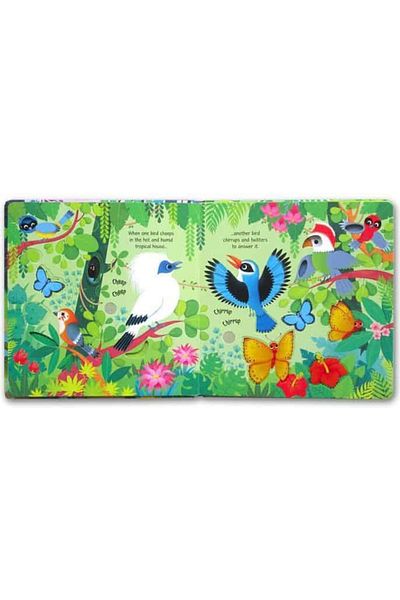 Usborne Foreign Language Children's Books