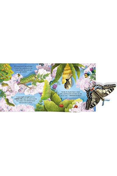 Usborne Editura Fluturi Pop-Up
