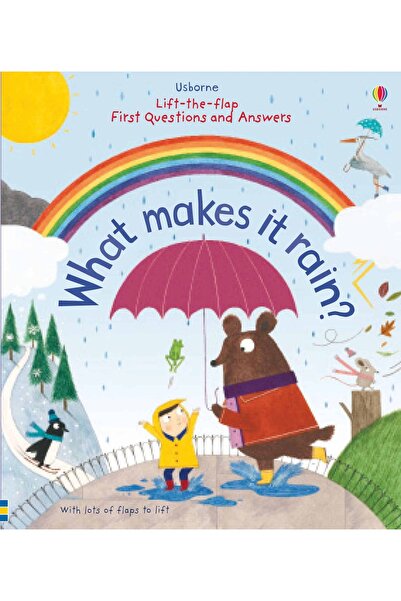 Usborne Carte pentru copii, Usborne, First Questions and Answers: What makes ...