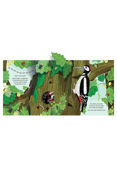 Usborne Carte pop-up despre natură