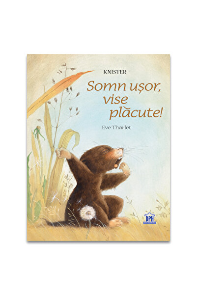 Didactica Publishing House Carti copii - Somn usor, vise placute