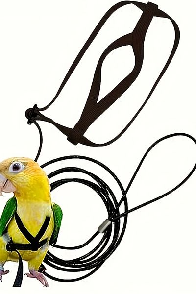 Alyones Adjustable Bird Flight Harness and Leash Kit - Anti-Escape Parrot Vest with Secure Lock