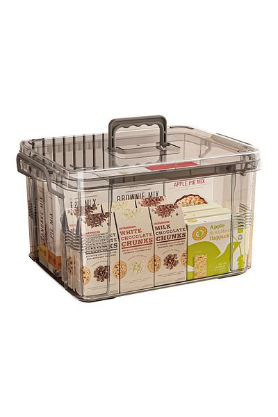 Flippy Suitcase Storage Box, For Food, Toys, Accessories Transparent-Gray, 38.5x27.5x22 Cm
