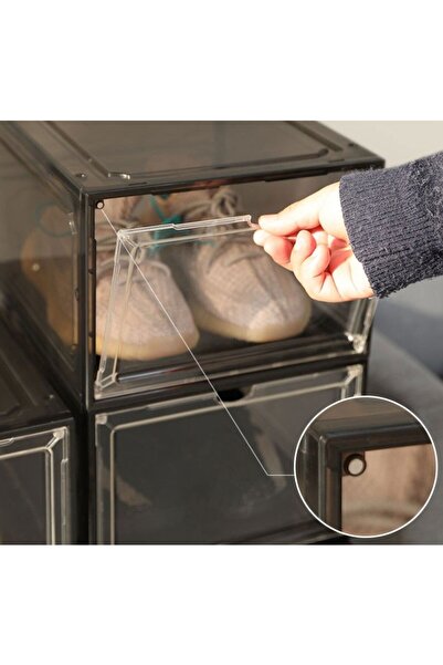 easybox Flippy Shoe Organizer PP+ABS, Magnetic Front Door, Dust-Resistant, 36x28x21 cm, Grey Transparent
