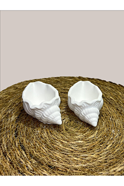 VANTES Seashell Candle Holder / Organizer / Display / Keychain - 2 Pieces