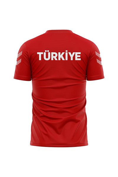 hummel Armin National Team Baby Collar T-Shirt Red