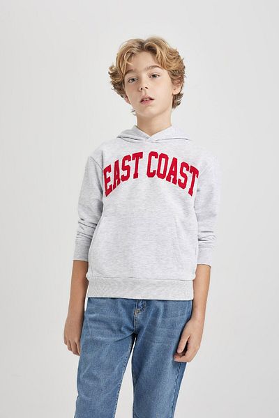 DeFacto Boy's Hooded Printed Thick Sweatshirt B8986a823cw