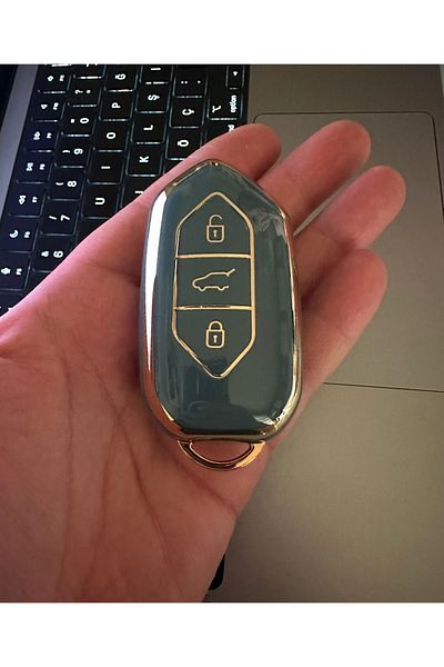 emii auto spare parts T10X Compatible Gold Luxe Key Case