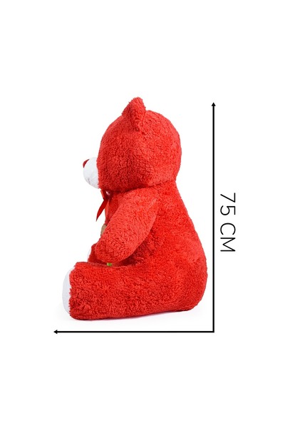 Pandamkee 75 Cm Cute Teddy Bear Holding a Rose in Her Hand (You Are Good)