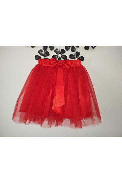 BBA TULLE STORE Tutu Skirt, Girl's Tulle Girl's Skirt, 23 April Tutu Skirt (Lined) Tutu Skirt
