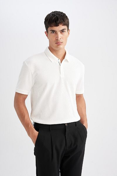 DeFacto Κοντομάνικο μπλουζάκι πόλο - Regular Fit D5996ax24sm