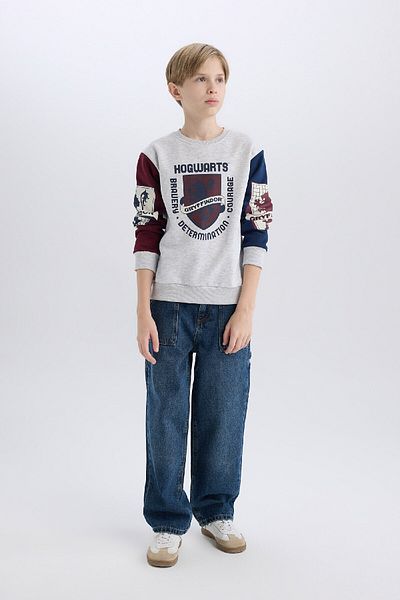 DeFacto Boy Harry Potter Crew Neck Sweatshirt D4258A824Wn
