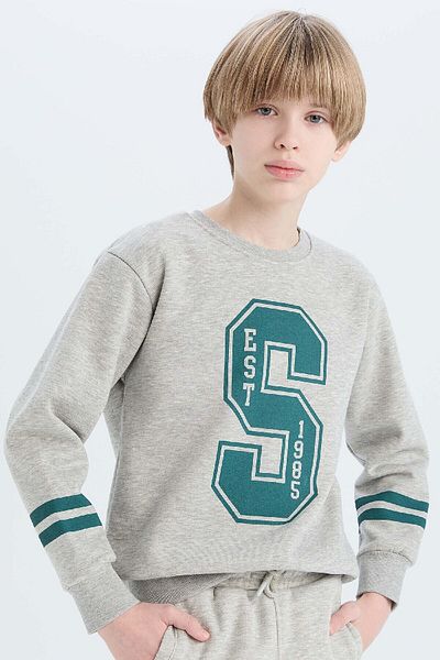 DeFacto Boy's Crew Neck Printed Thick Sweatshirt D4342A824Wn