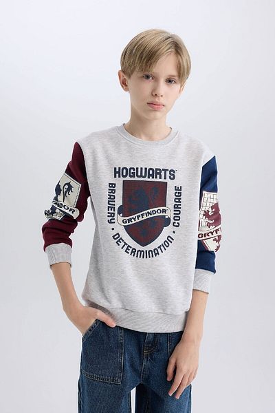 DeFacto Boy Harry Potter Crew Neck Sweatshirt D4258A824Wn