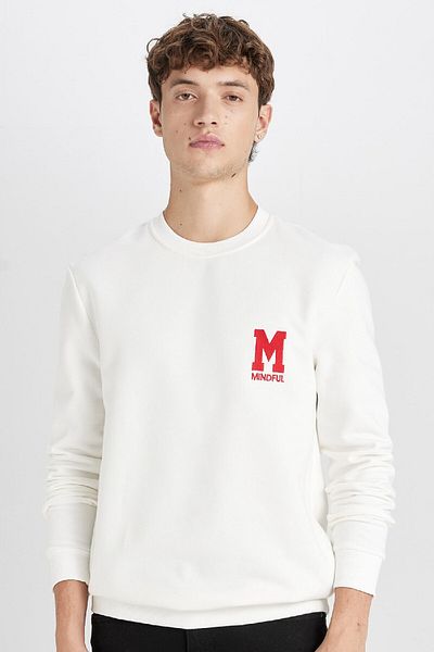 DeFacto Neues, normales, bedrucktes, dickes Sweatshirt mit Rundhalsausschnitt D3670ax24au