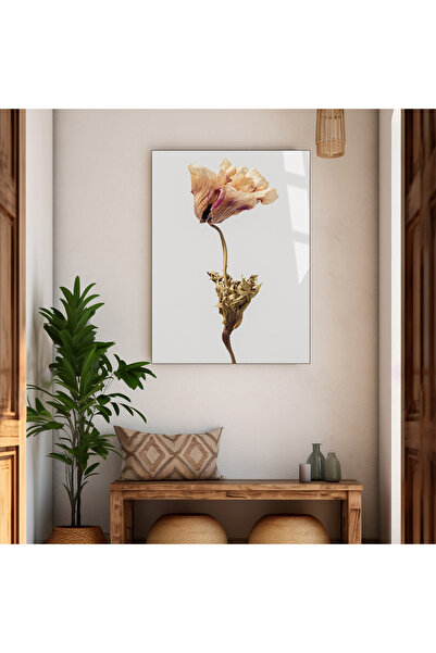 Harika bir ev HARİKABİREV | STICLA INTRACTABILĂ CU MODEL DE FLORI USCATE | TM...