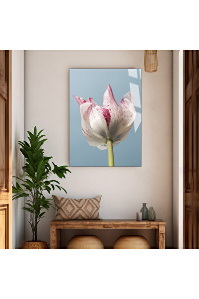 Harika bir ev HARİKABİREV | MĂRIMEA TABELULUI DE STICLĂ INSTRĂNGĂTOAREĂ MODEL...