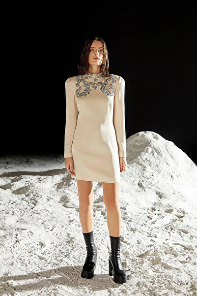 cercis Saten Kasnak İşleme Uzun Kollu Mini Elbise