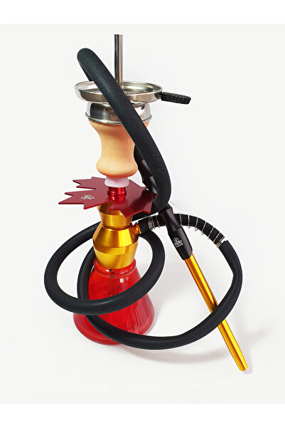 APOCALYPSE Kanada İspanya  Komple takımı